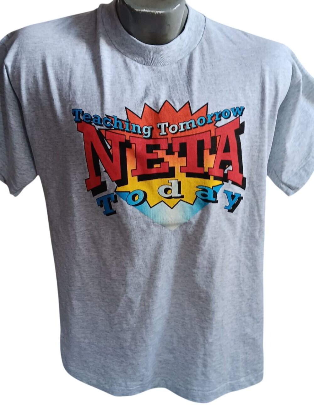 T-shirt Single Stitch Large Vintage Mens 1990's NETA Nebraska Education Gray USA